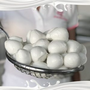 Bocconcini di bufala