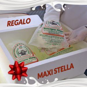 maxi stella gift